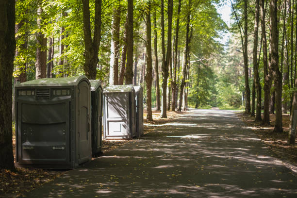 Best Affordable portable toilet rental  in Paulsboro, NJ